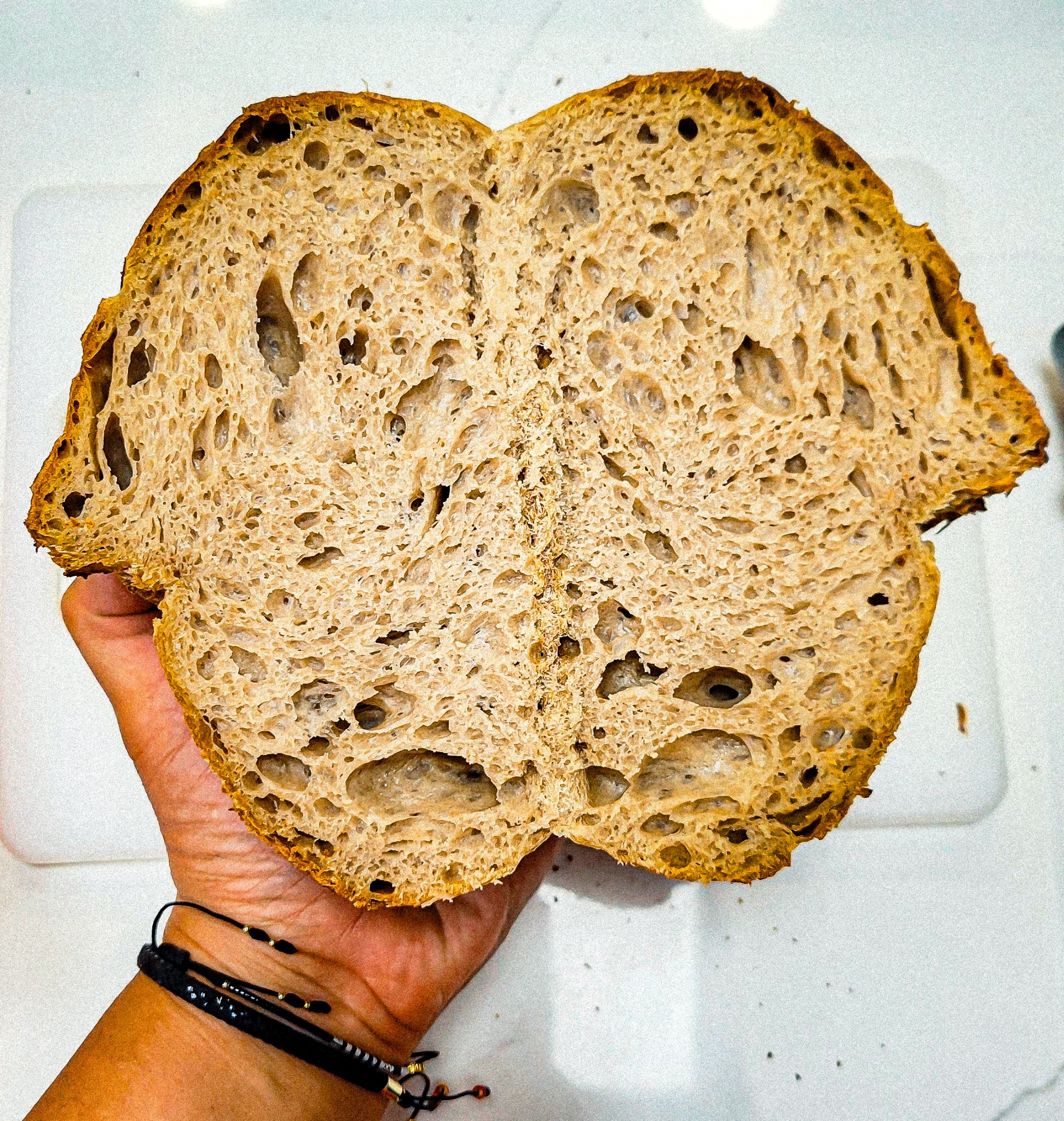 Open sourdough crumb