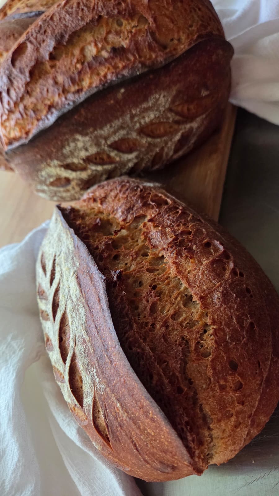 Freshly baked artisan sourdough loaves