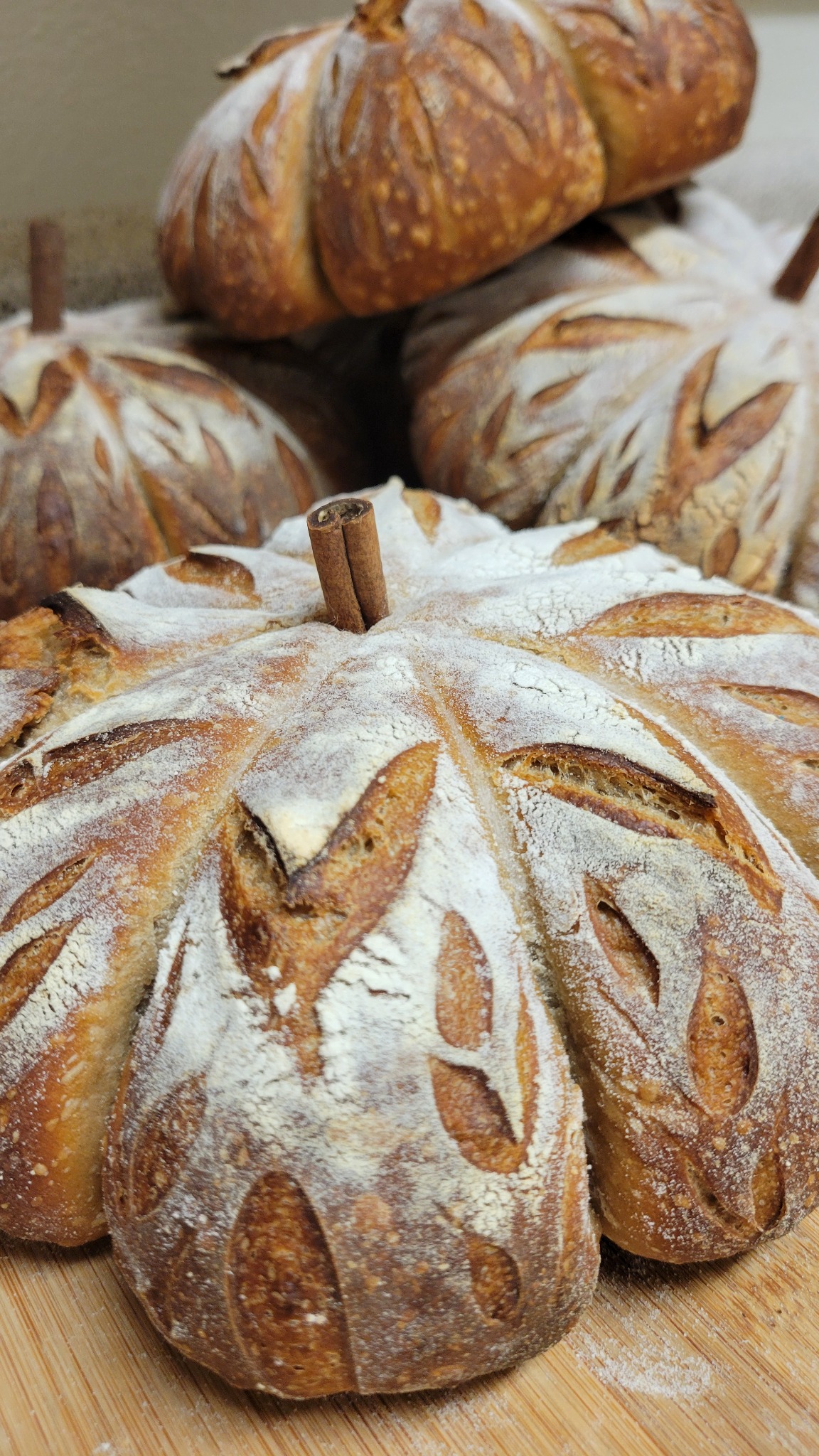 A group of pumpkin-shaped sourdough loaves